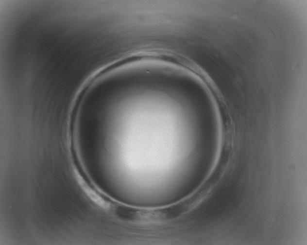 X0000083600795200702091218