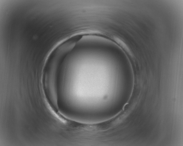 X0000083600797200702091218