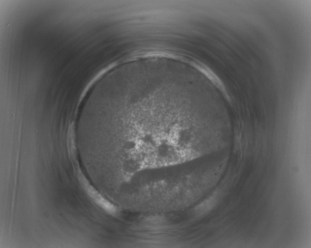 X0000083600798200702091218