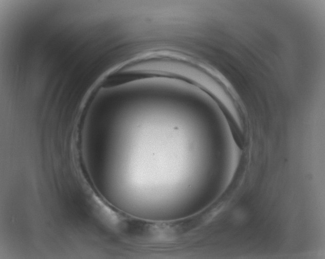 X0000083600799200702091218