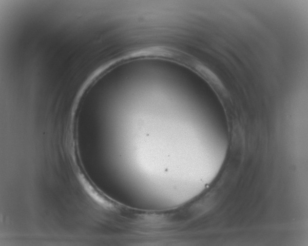 X0000083600800200702091218