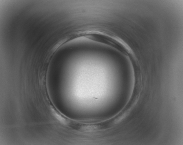 X0000083600801200702091218