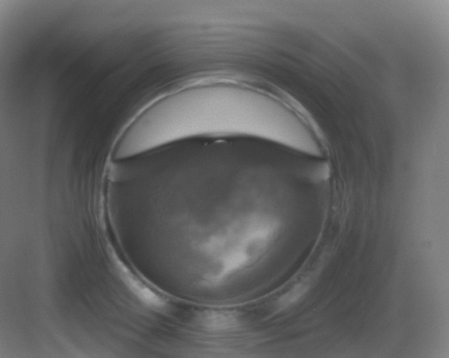 X0000083600802200702091218