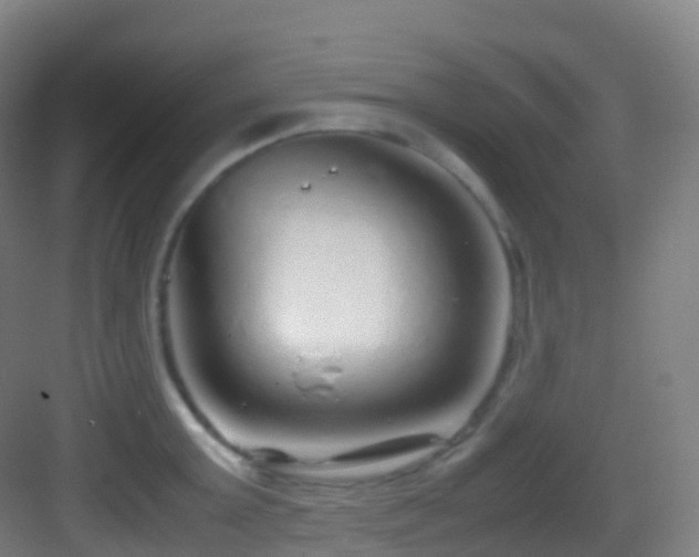 X0000083600803200702091218