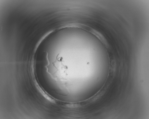 X0000083600804200702091218