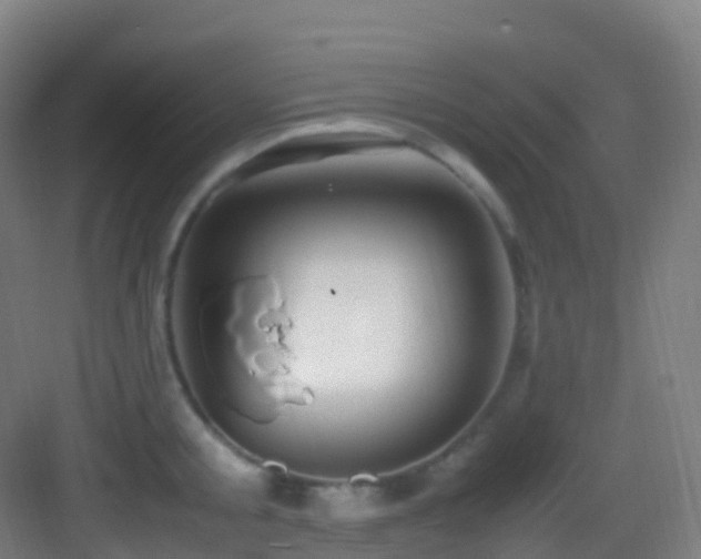 X0000083600805200702091218