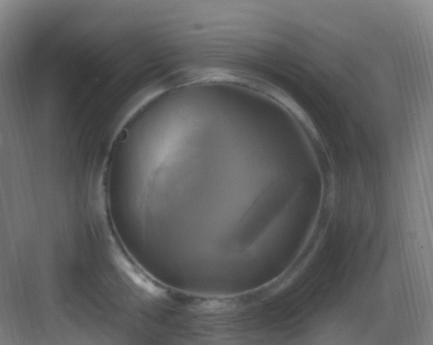 X0000083600806200702091218