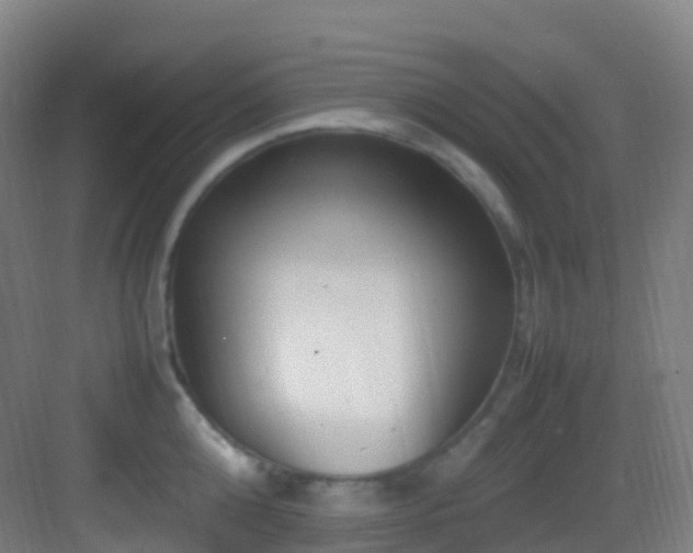 X0000083600808200702091218