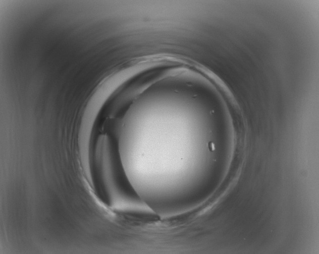 X0000083600809200702091218