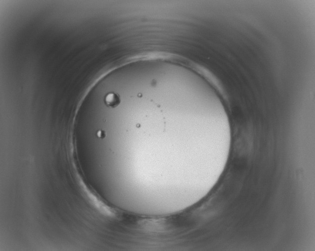 X0000083600810200702091218