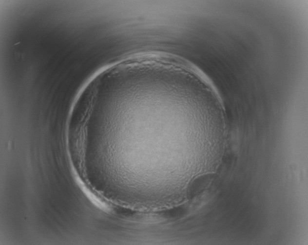 X0000083600811200702091218