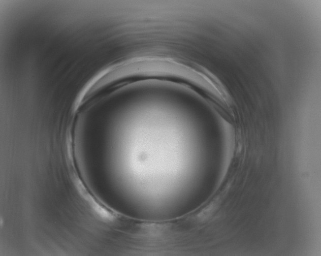 X0000083600812200702091218