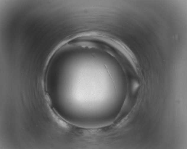 X0000083600813200702091218