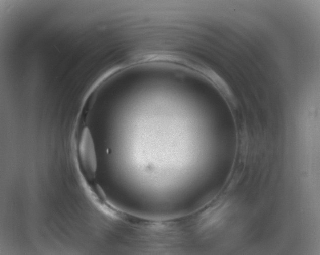 X0000083600814200702091218