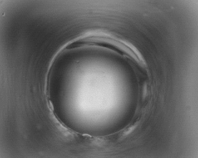 X0000083600815200702091218