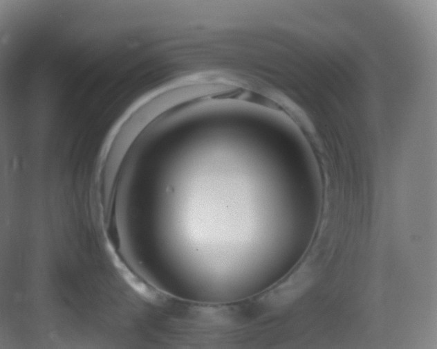 X0000083600816200702091218