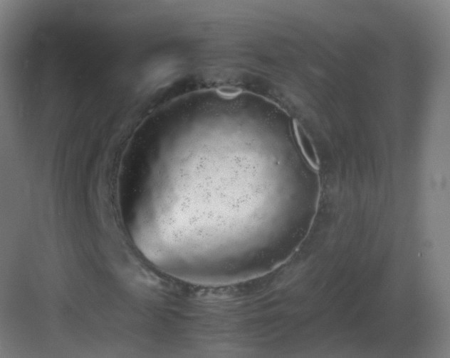 X0000083600817200702091217