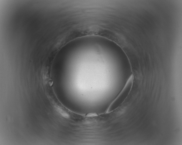 X0000083600818200702091217