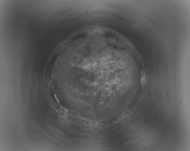 X0000083600819200702091217