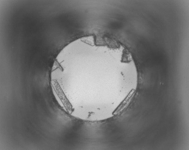 X0000083600820200702091217