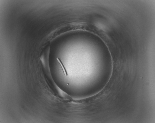 X0000083600821200702091217