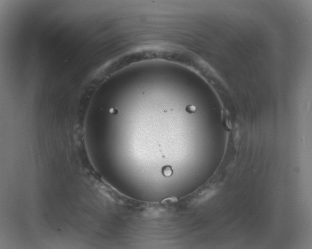 X0000083600822200702091217