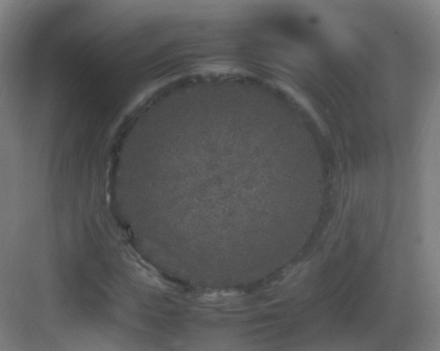 X0000083600823200702091217