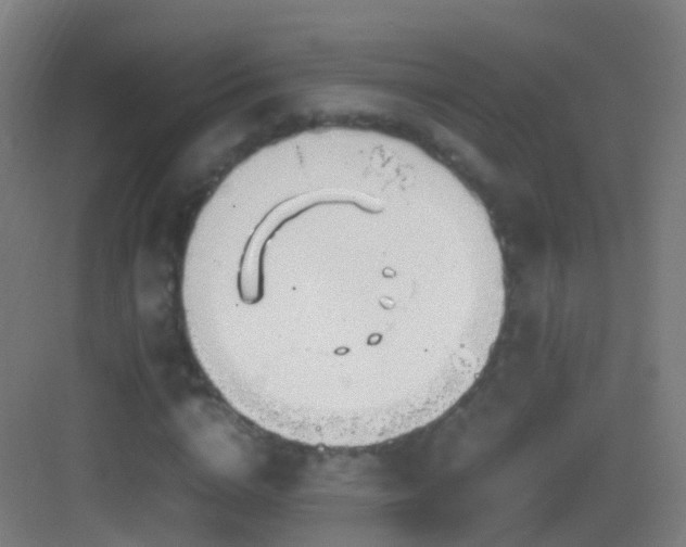 X0000083600824200702091217