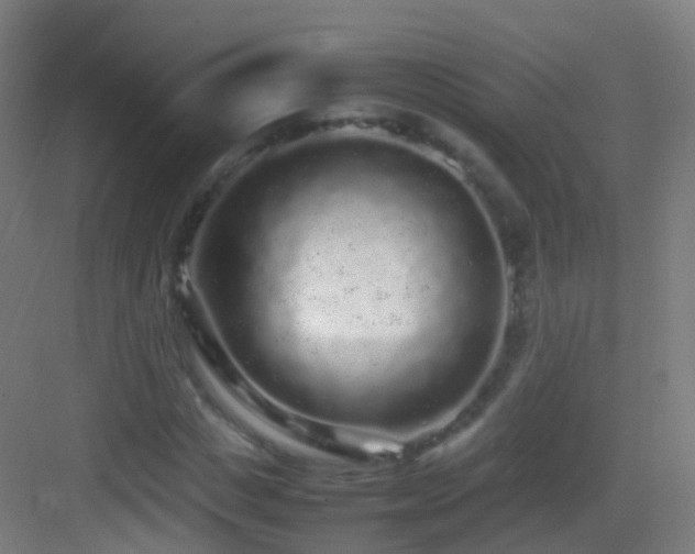 X0000083600825200702091217