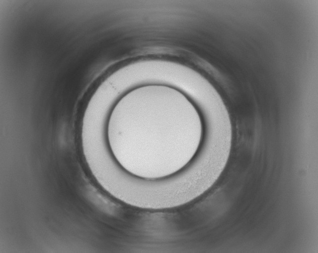 X0000083600828200702091218