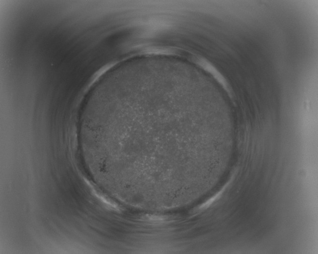 X0000083600829200702091218