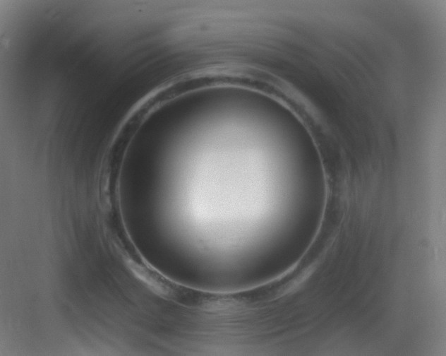 X0000083600830200702091218