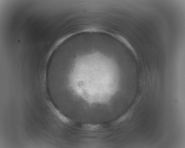 X0000083600831200702091218