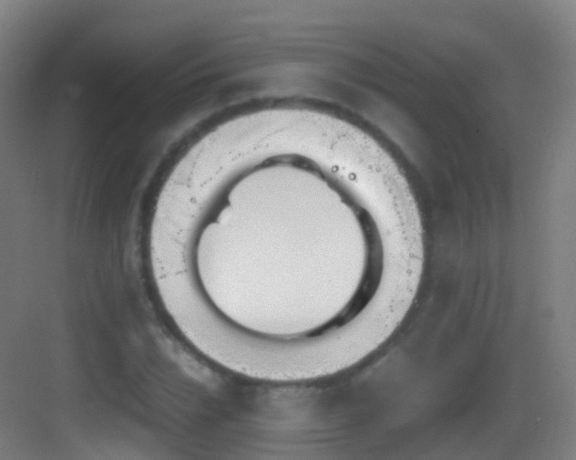 X0000083600832200702091218