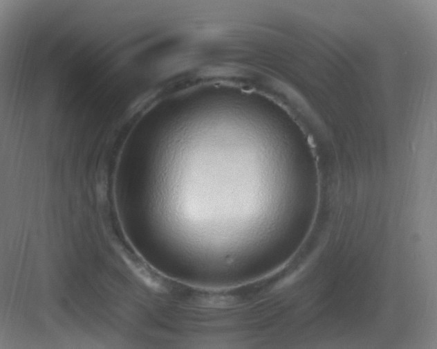 X0000083600833200702091218