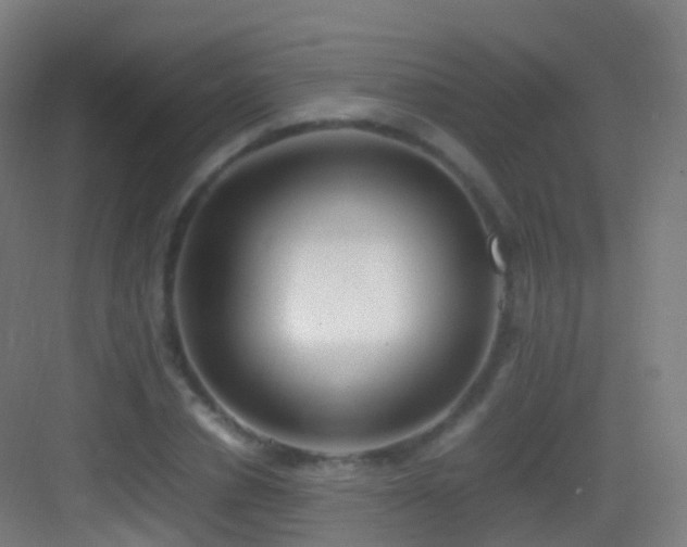 X0000083600834200702091218