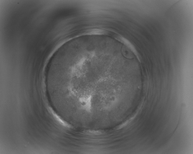 X0000083600835200702091218