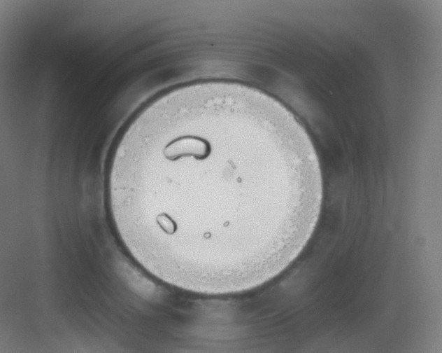 X0000083600836200702091218