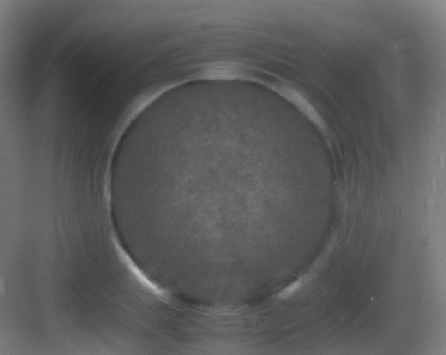 X0000083600839200702091218