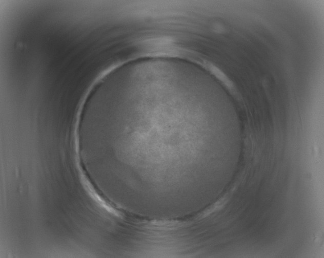 X0000083600840200702091218