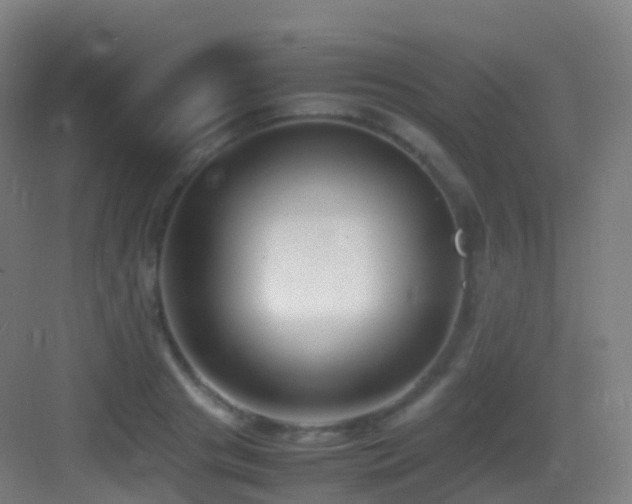 X0000083600841200702091218