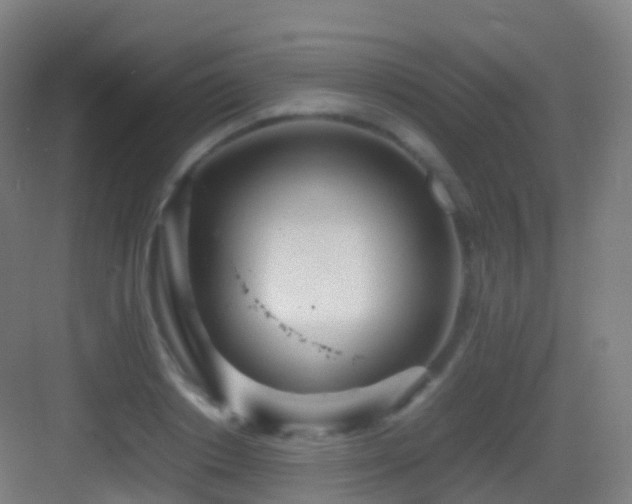 X0000083600842200702091218