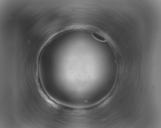 X0000083600844200702091218