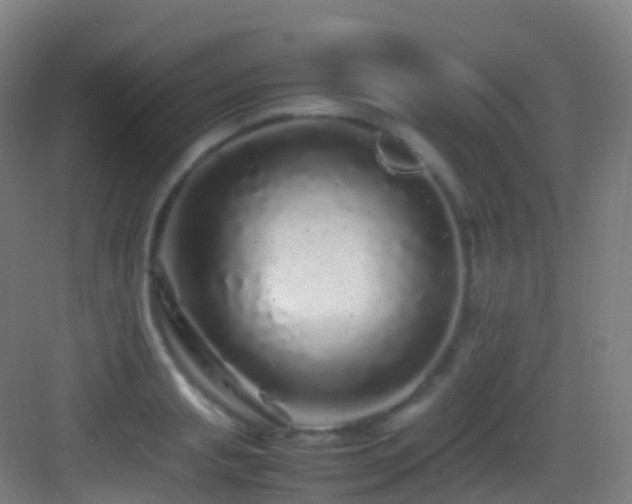 X0000083600845200702091218