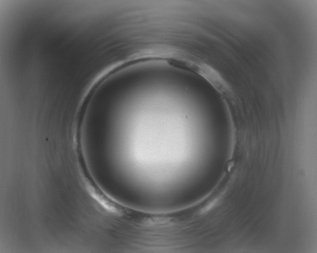 X0000083600846200702091218