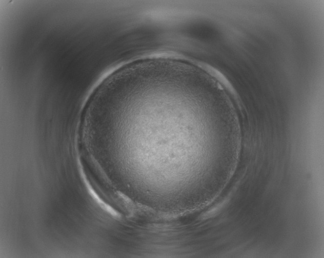 X0000083600847200702091218