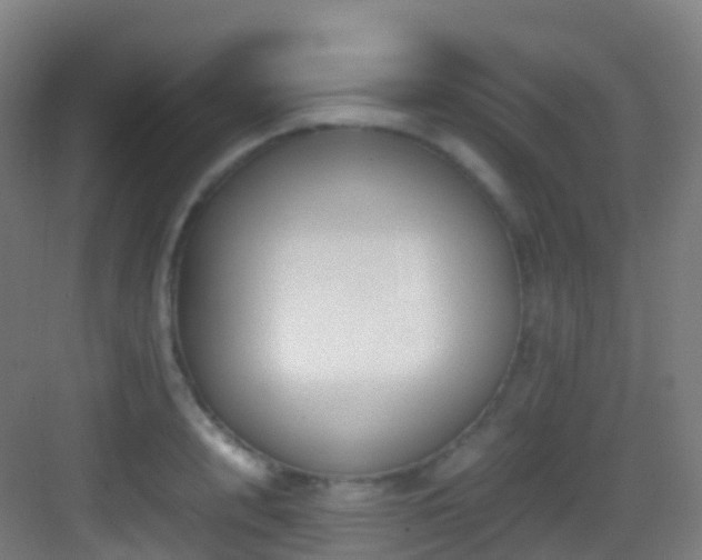 X0000083600848200702091218