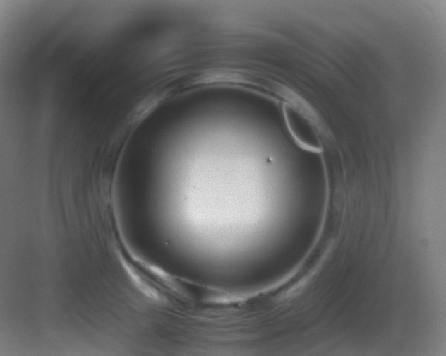 X0000083600849200702091218