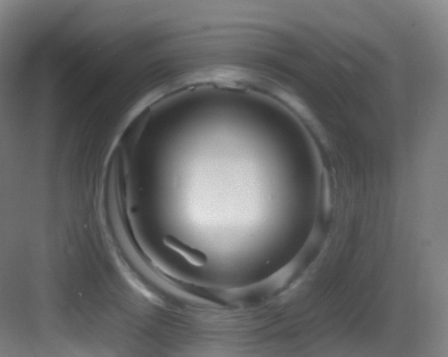 X0000083600850200702091218