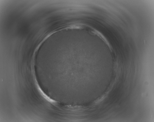 X0000083600851200702091218